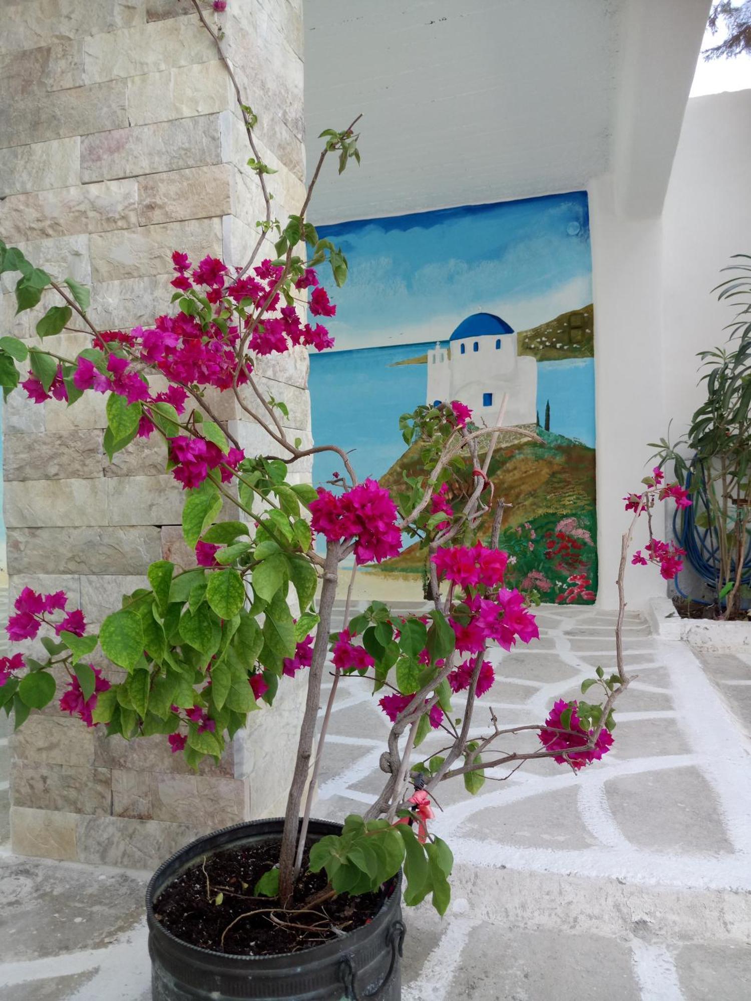 Apartment Meletis